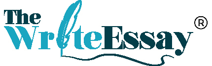 the write essay logo